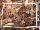 RO_63_3_286_C