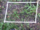 RO_77_1_2373B