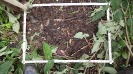 RO_77_2_2377A