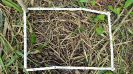 RO_77_2_2380D