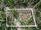 RO_86_1_2713B