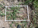 RO_86_2_2717A