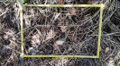 RO_88_1_3006_D