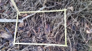 RO_88_2_3010_D