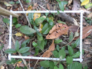 RO_8_1_0758_A