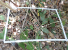 RO_8_1_0761_D
