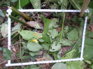 RO_8_2_0765_C