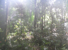 RO_91_2_369