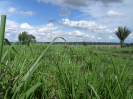 RO_94_2_395