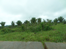 RO_97_2_2306