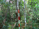 RR_224_F3_pan