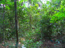 RR_372_P48_F3_pan