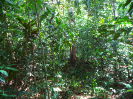 RR_395_F5_3