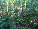 RR_516_F3_pan