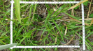 SE_114_01-071c