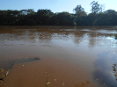 SP_144_F3_pan