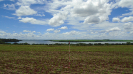 SP_21_F3_pan