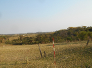 SP_348_F3_pan