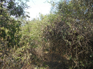 SP_382_F5_4