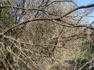 SP_383_F5_3