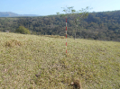 SP_390_F3_pan