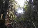 SP_447_F5_4