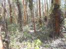 SP_504_F5_1
