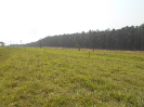 SP_527_F3_pan