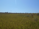 SP_559_F5_2