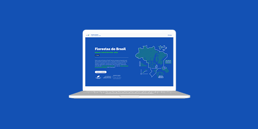 Acesse a publicação interativa Florestas do Brasil: dados e estatísticas 