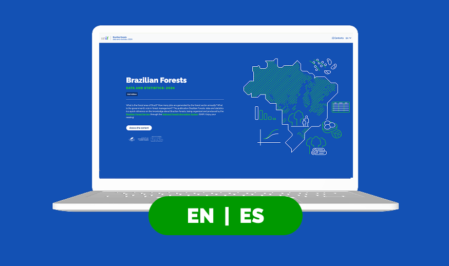 Publicação Florestas do Brasil: dados e estatísticas em inglês e espanhol