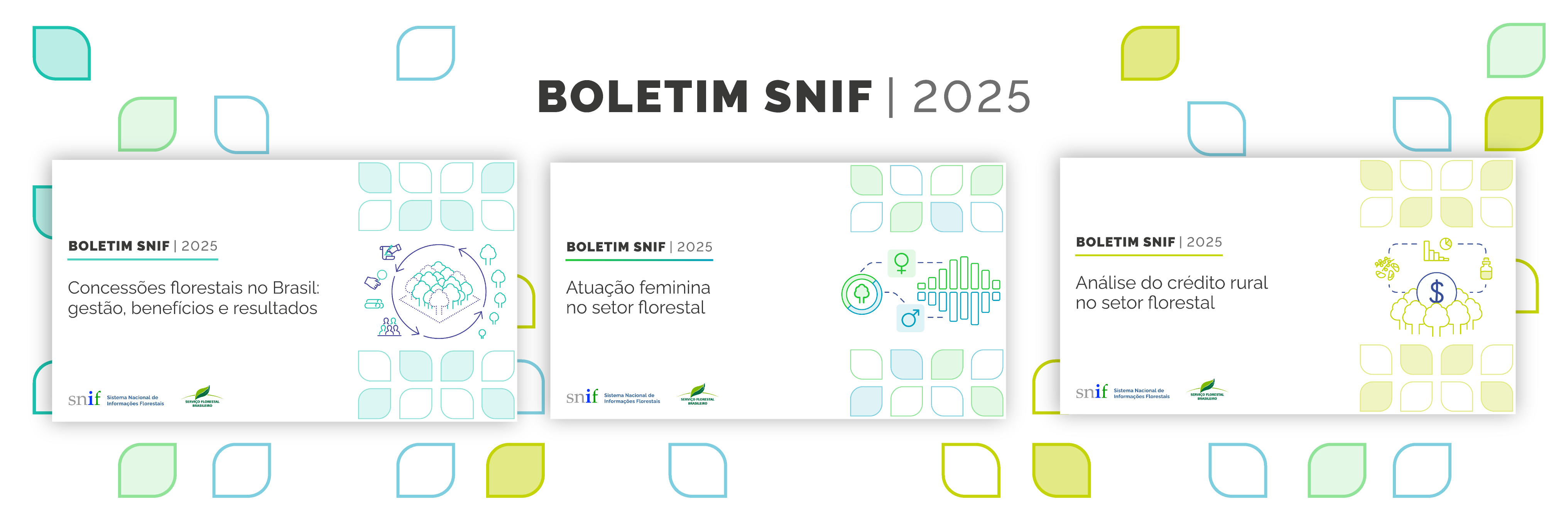 Acesse os Boletins SNIF 2025