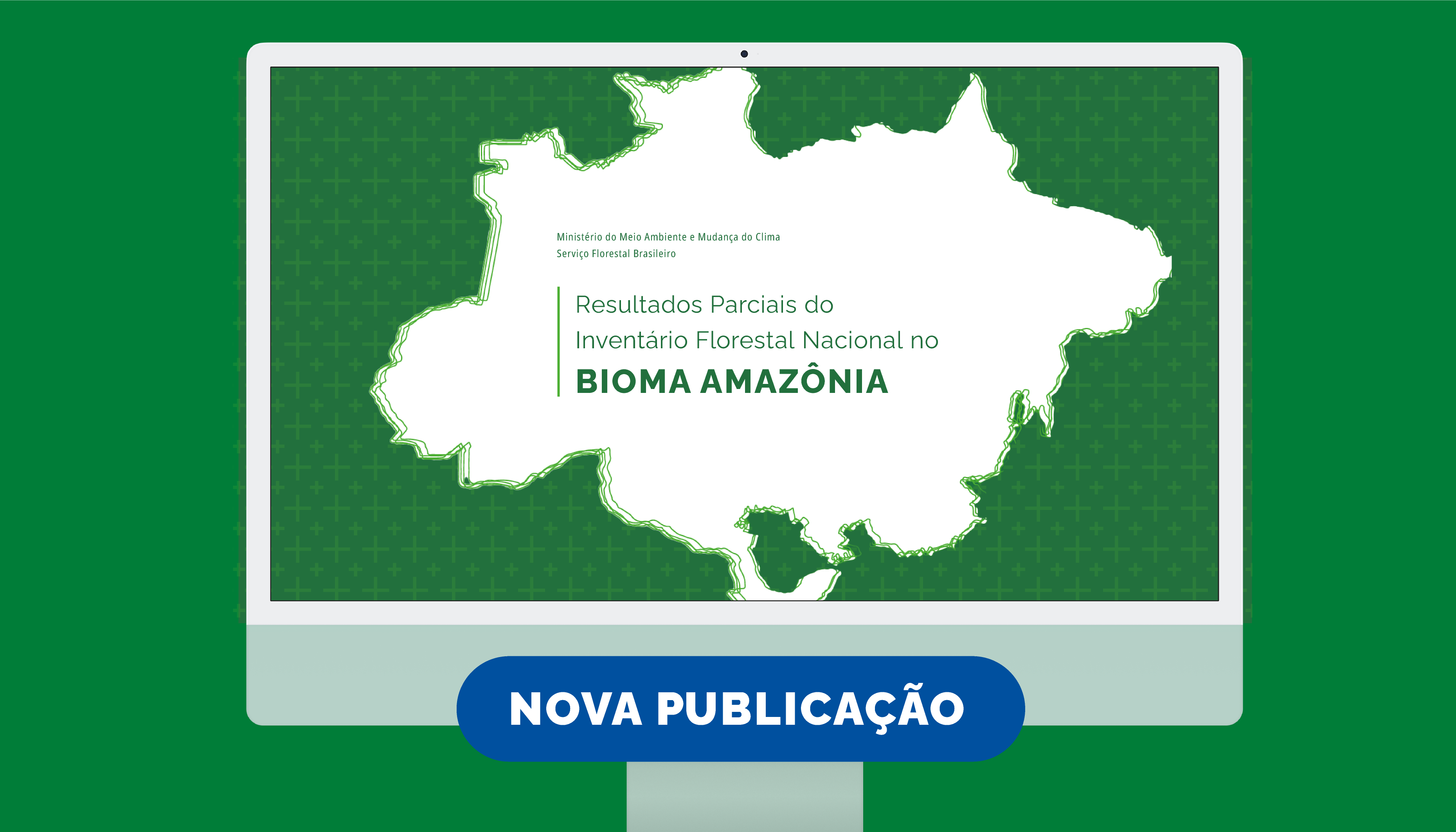 Inventário Florestal Nacional no bioma Amazônia