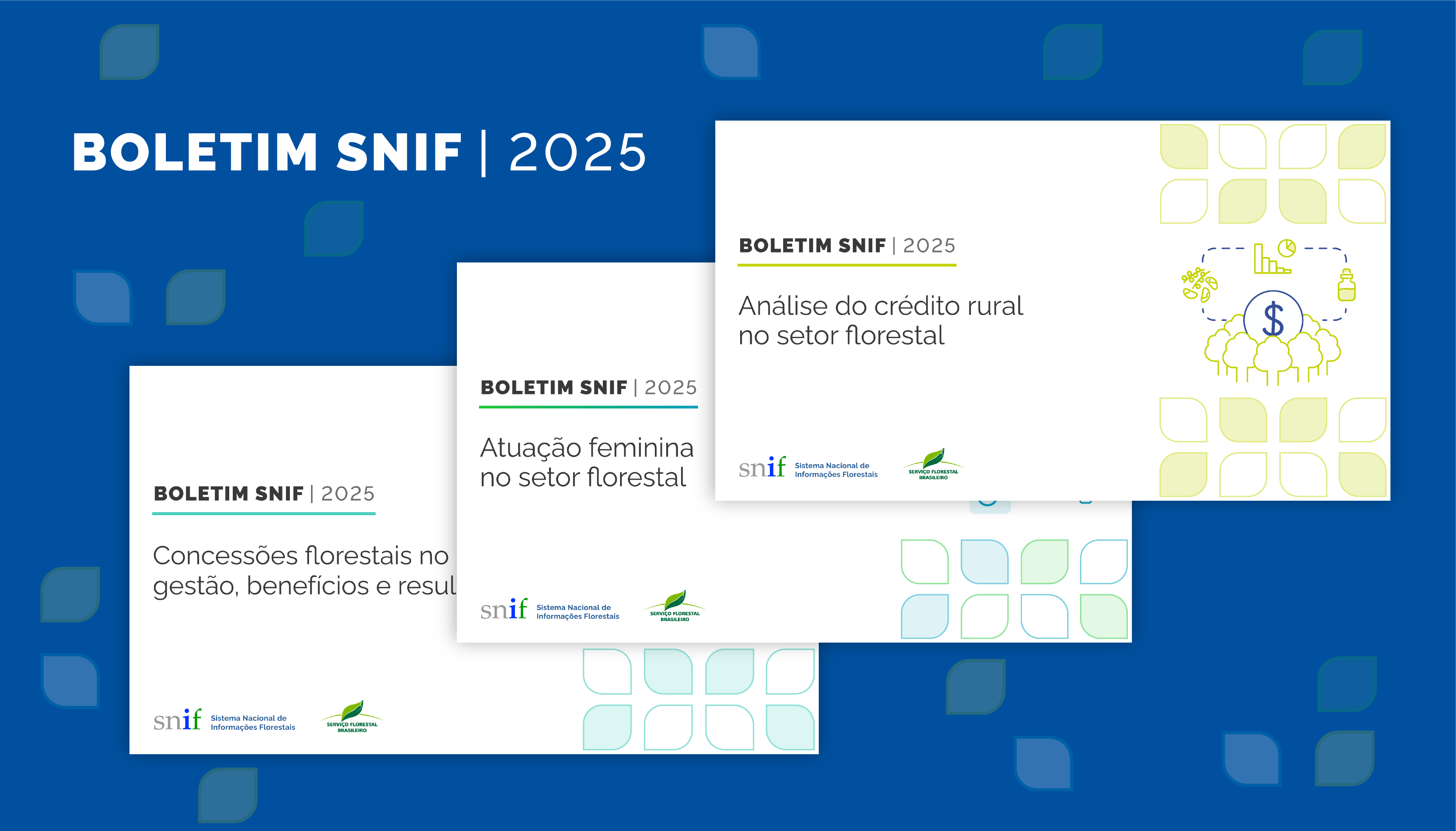 Acesse os Boletins SNIF 2025