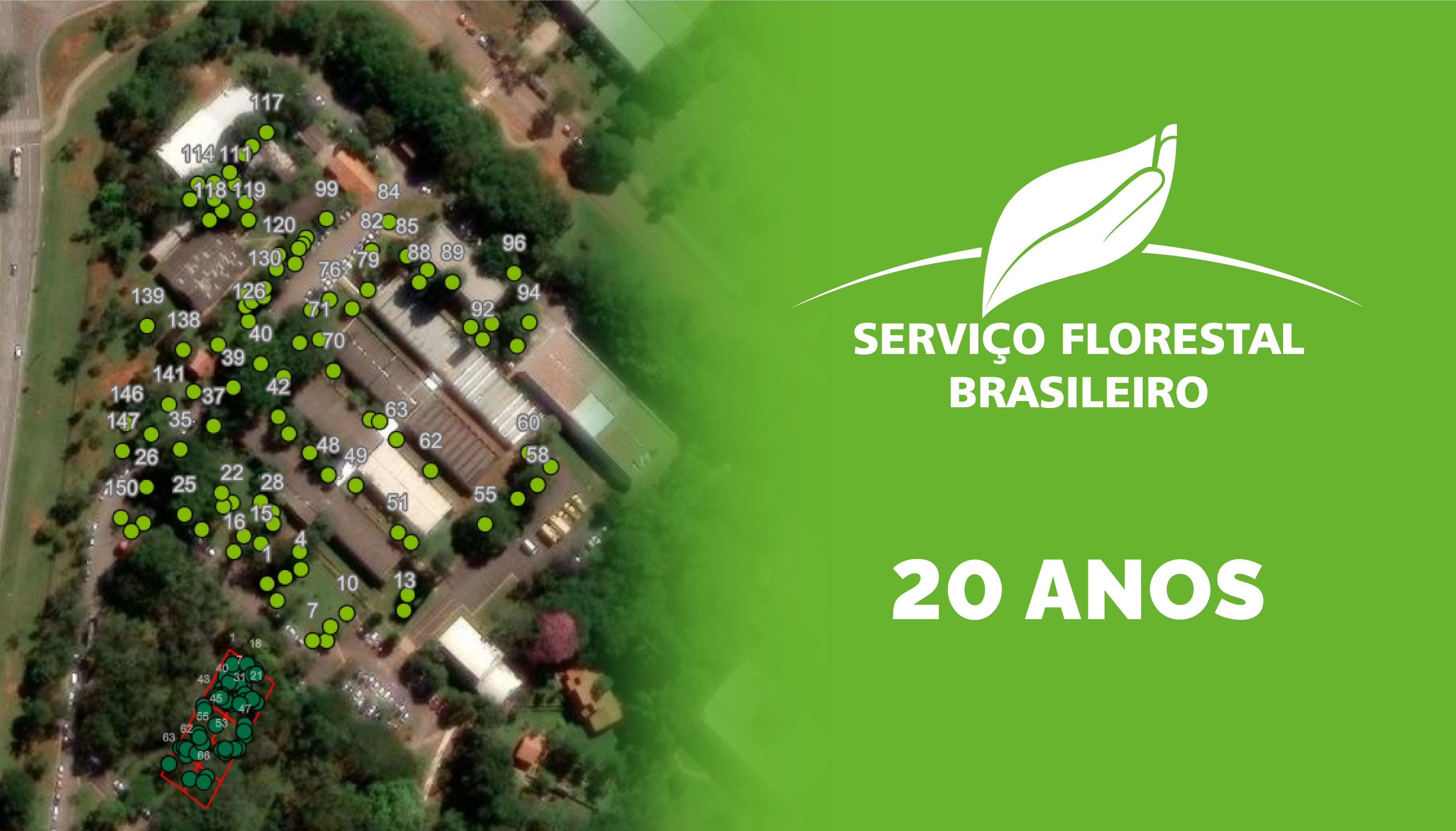 Diversidade de árvores no SFB e no Ibama – 20 anos do SFB 