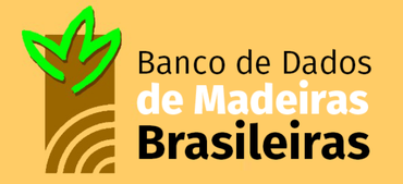 banco de madeiras