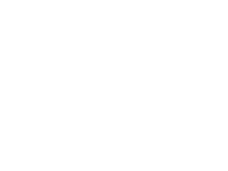 Logo SNIF